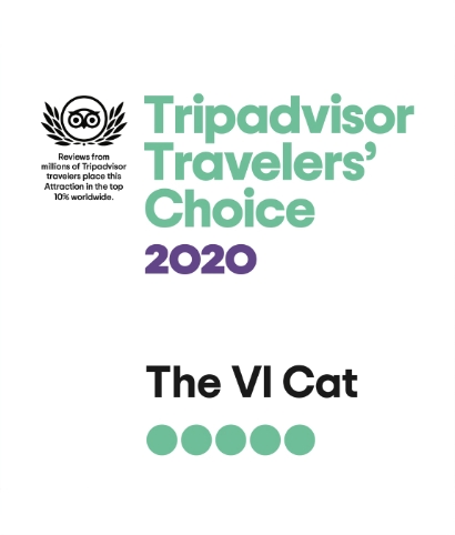 Welcome To The Vi Cat Catamaran Sailing Snorkel Dinner Sails In St Thomas Us Virgin Islands Welcome To The Vi Cat Catamaran Sailing Snorkel Dinner Sails In St Thomas Us Virgin Islands