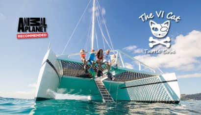 Book A Catamaran Tour in St. Thomas USVI Virgin Islands