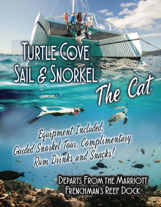 The VI Cat Snorkel and Catamaran Sail Tours in St. Thomas US