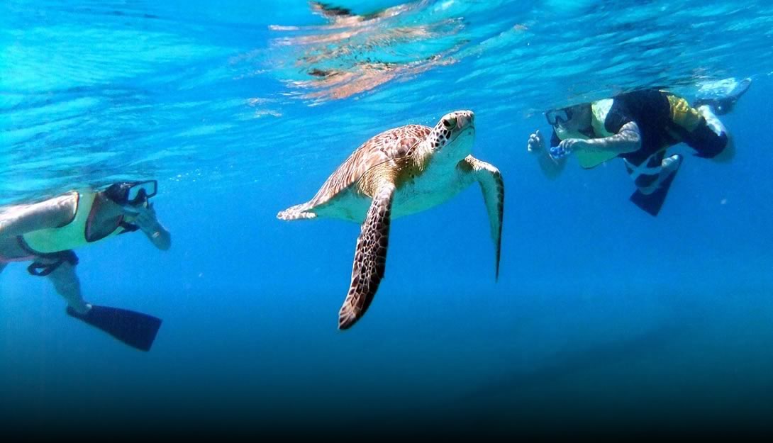 Catamaran Sailing Snorkeling Frenchmen's Reef St. Thomas USVI