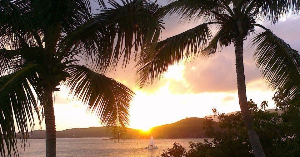 Sunset over ocean with sailboat and palm trees in foreground.