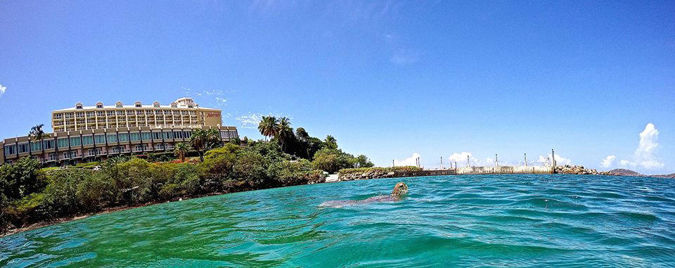 Person swimming near a hotel on a clear day.