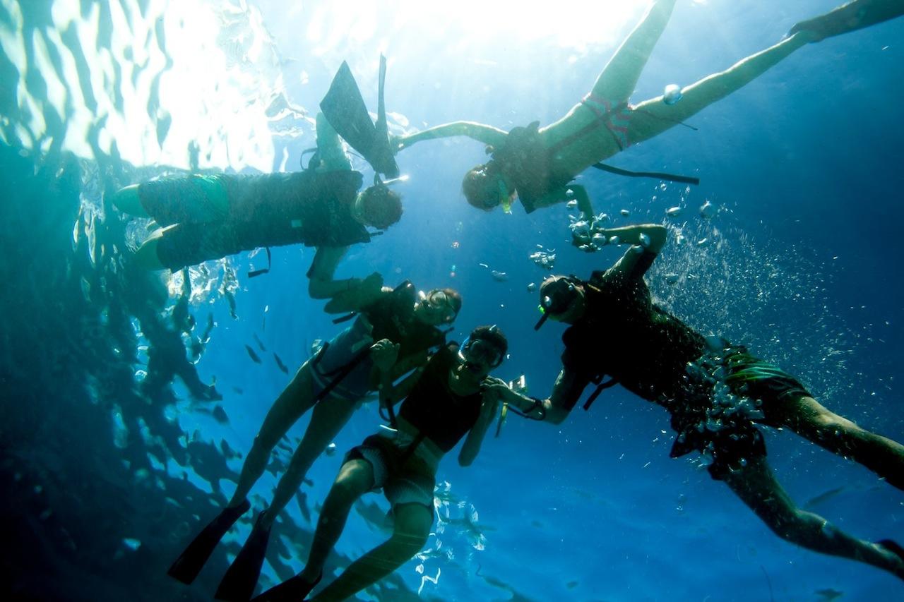 Four divers underwater holding hands in a circle, sunlight filtering through the water.